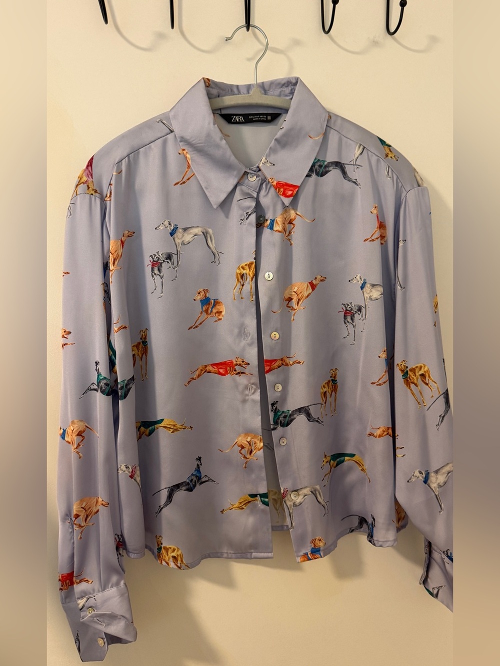 Zara Greyhound Light Blue Blouse